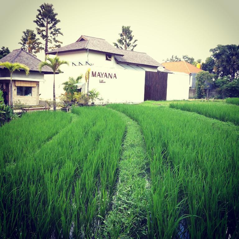 Mayana Villas Canggu Buitenkant foto